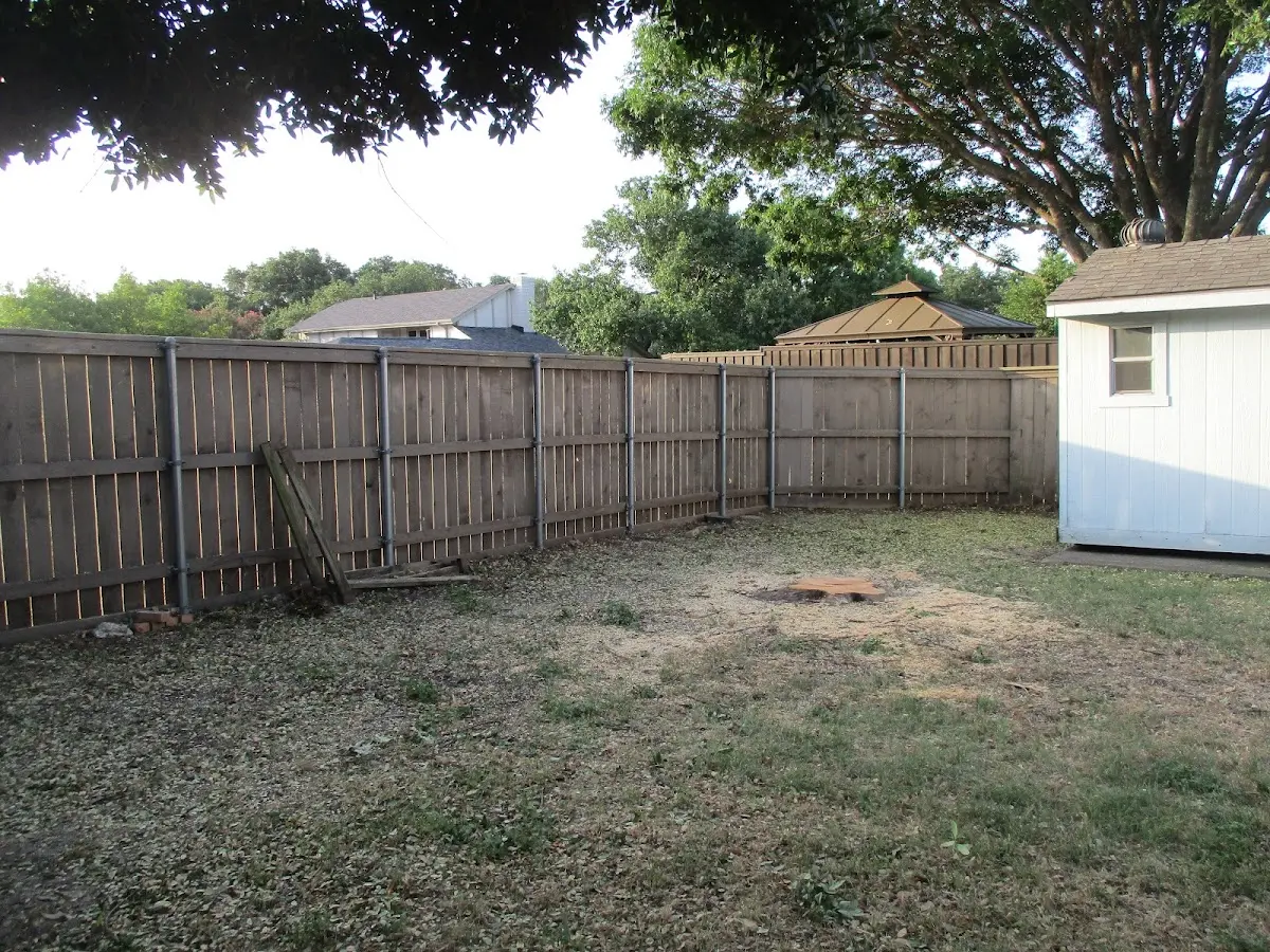 Cleared yard after professional tree removal in Beaumont